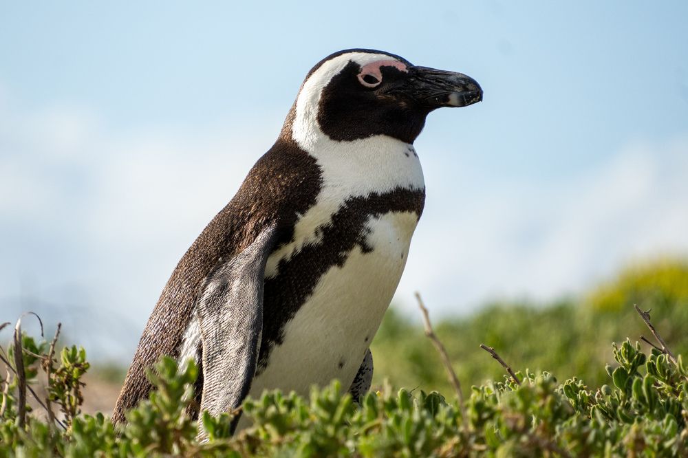 Photograph by Irfan Amran