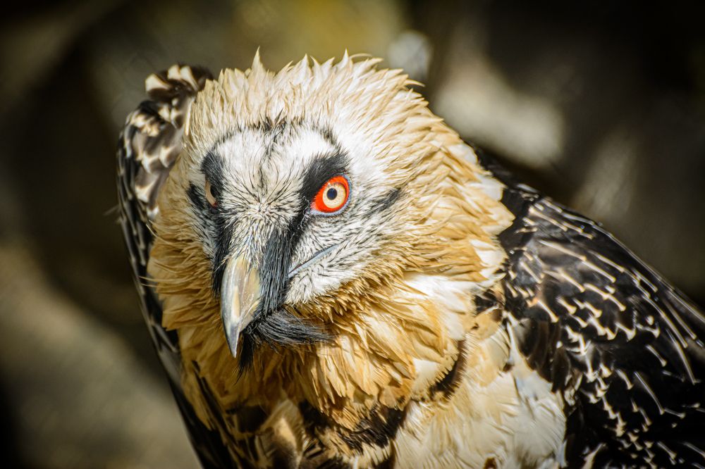 Photograph by Елена Берсенёва