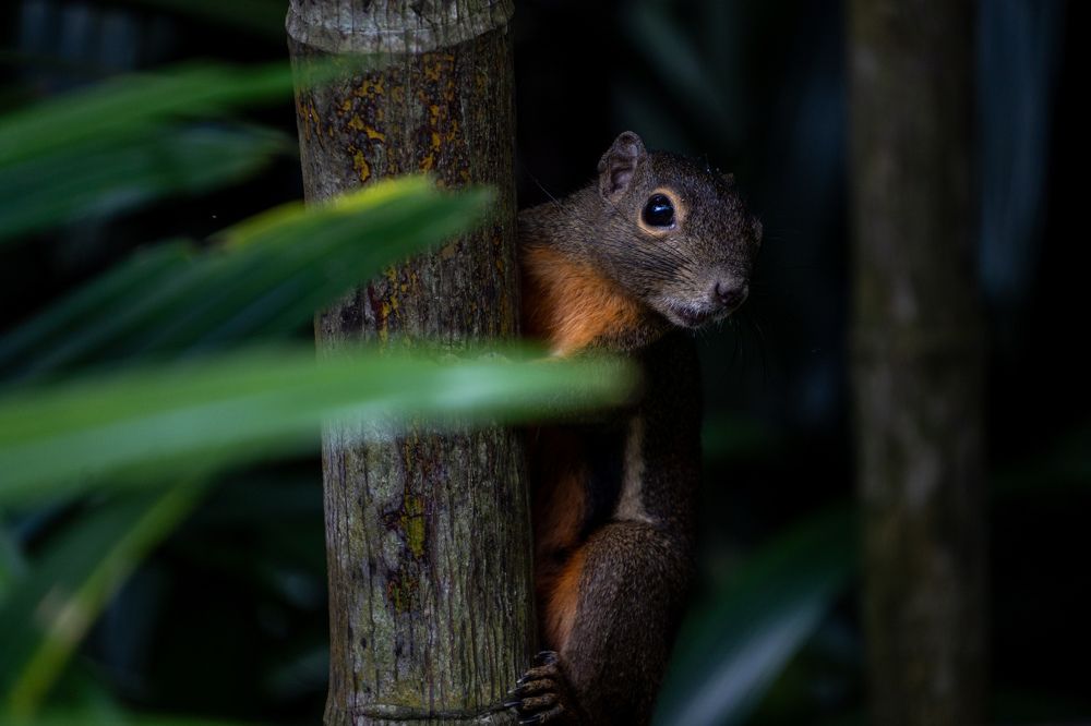 Photograph by Irfan Amran