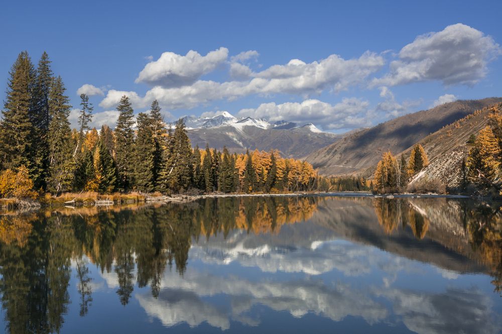 Утренняя безмятежность