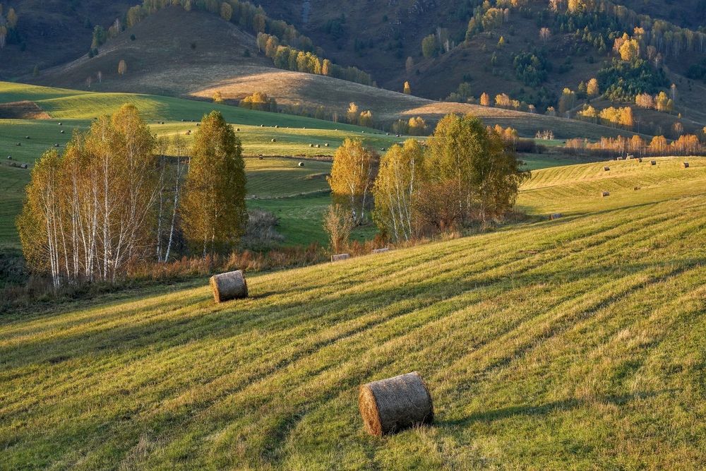 Photograph by Кузнецов Андрей