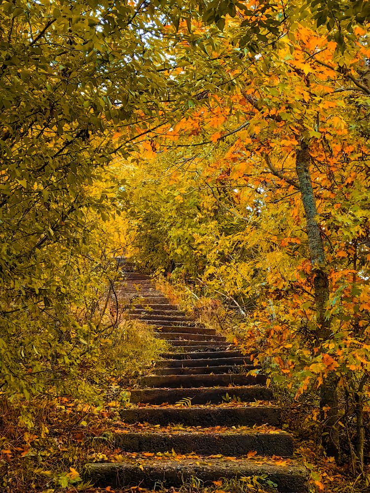 Photograph by Igor M.