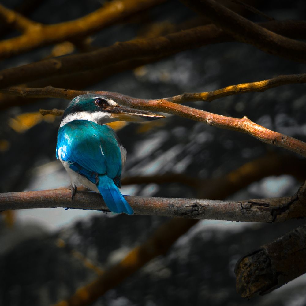 Photograph by Irfan Amran