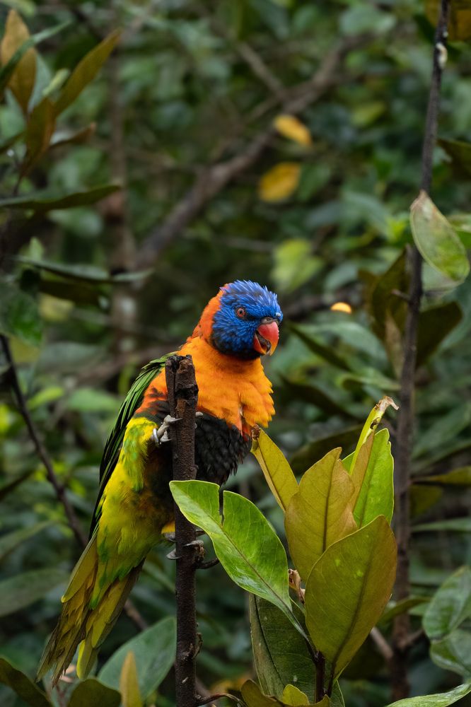 Photograph by Irfan Amran