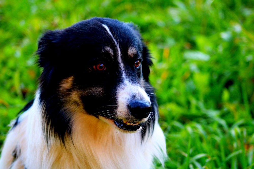 Photograph by Дмитрий Симагин