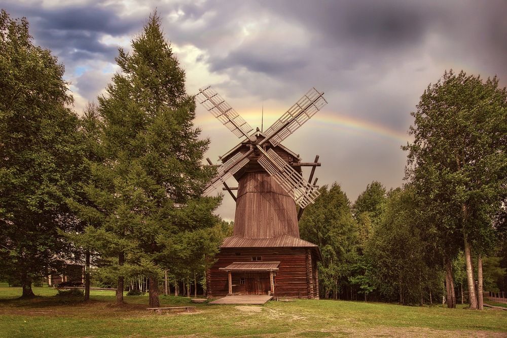 Фотография автора Виктория Шаманова