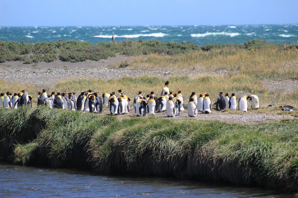 Photograph by Juan Alonso Gutiérrez