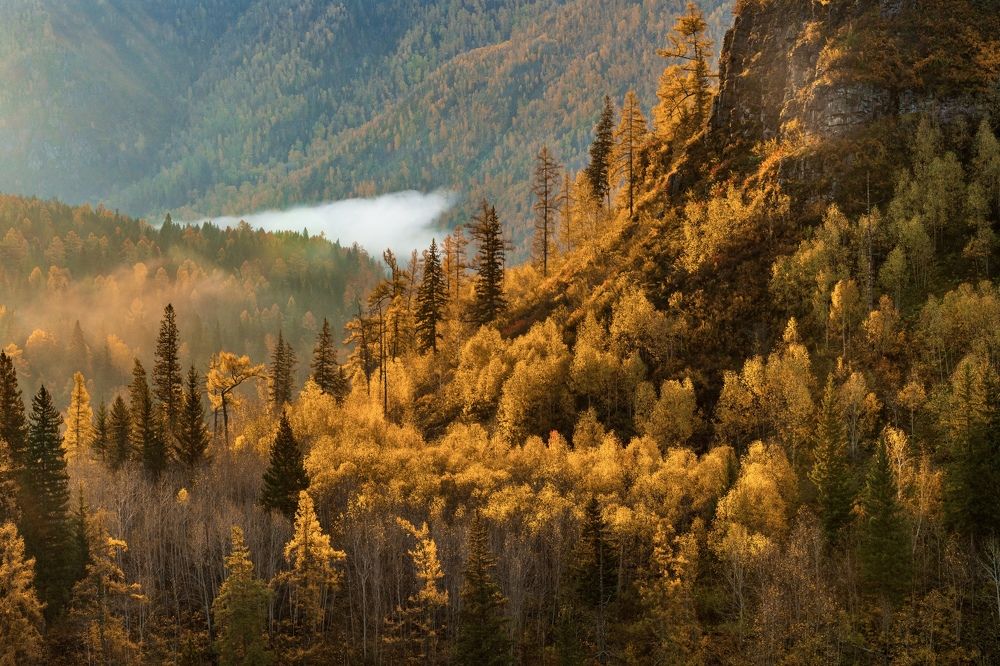 Photograph by Кузнецов Андрей