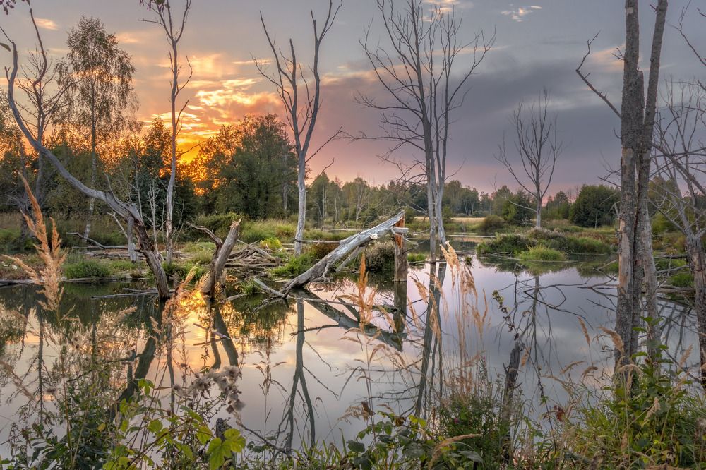 Фотография автора Сережин Сережа