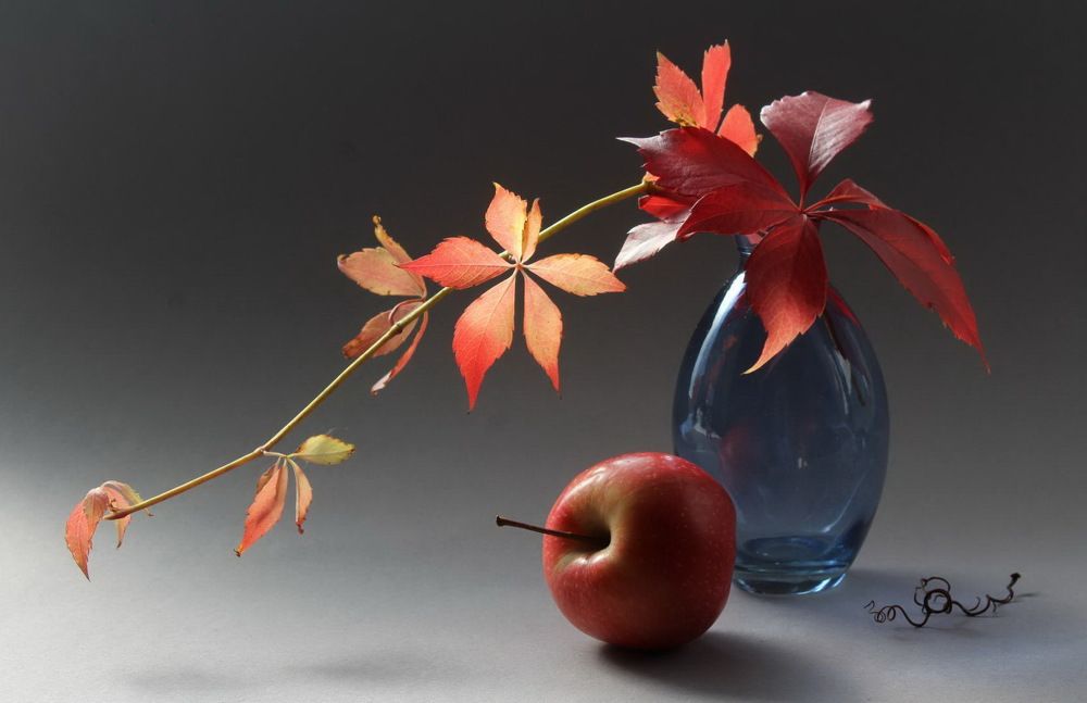 Photograph by Сироткина Нина