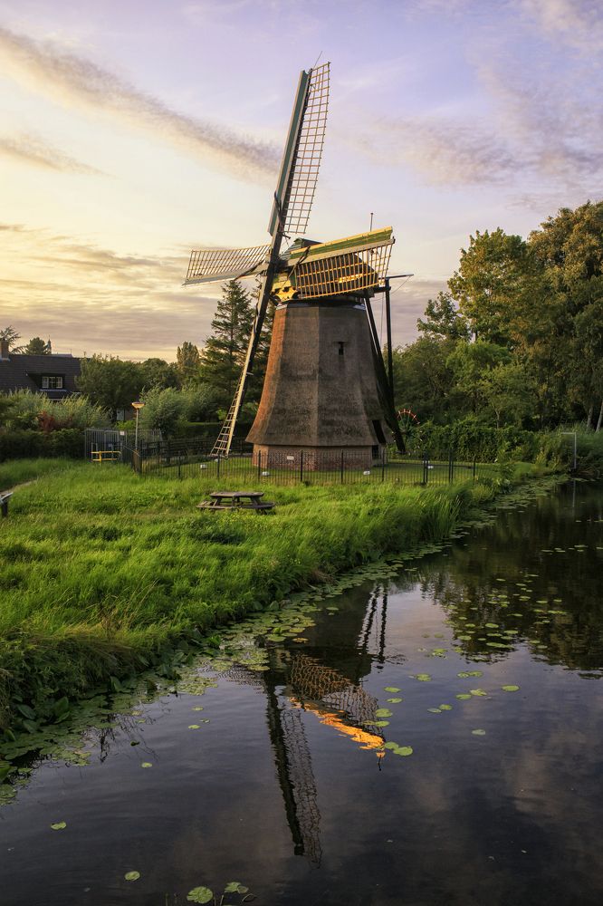 Photograph by Елена Евдокимова