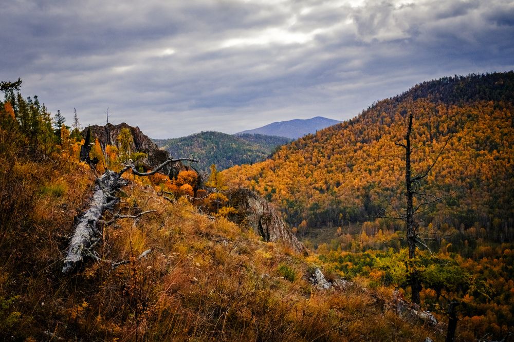 Photograph by Константин Белоногов