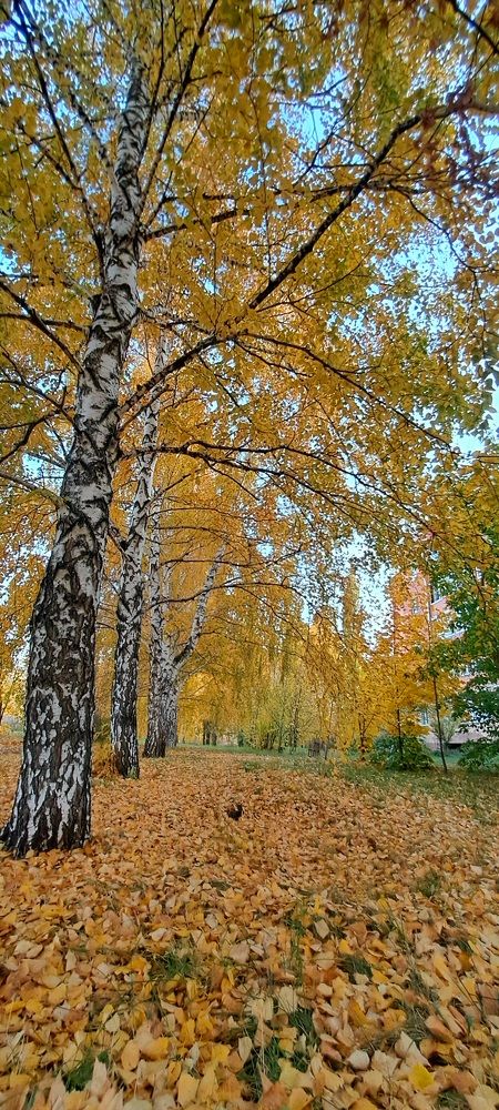 Photograph by Марина