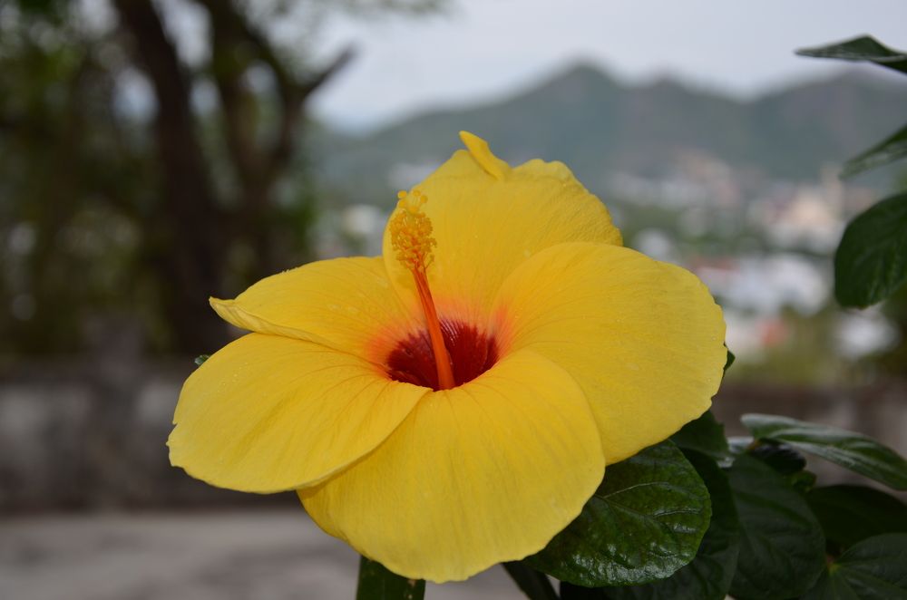 Photograph by Людмила Воропаева