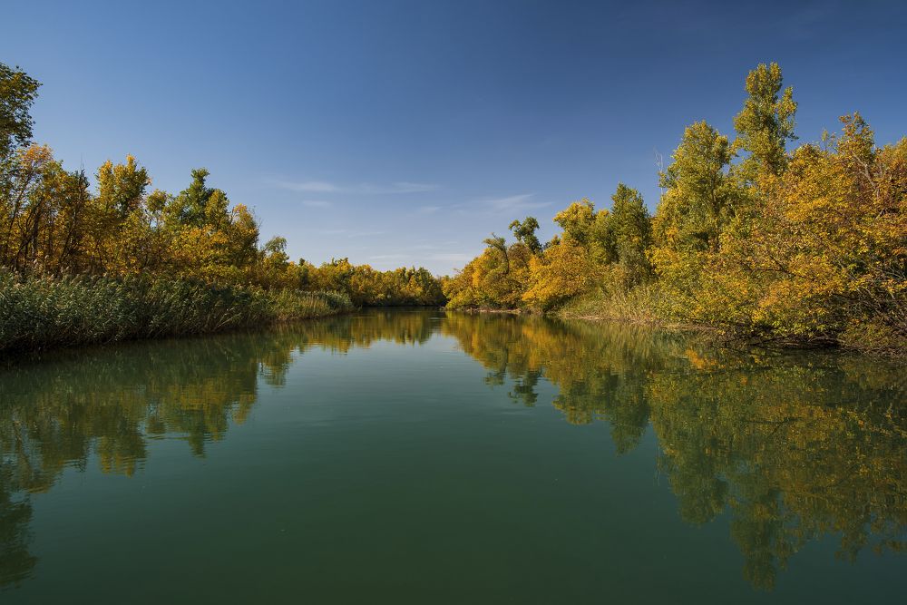 Photograph by Татьяна Коваленко