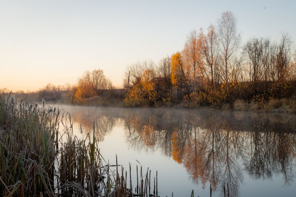 Photograph by Лина Матвеева