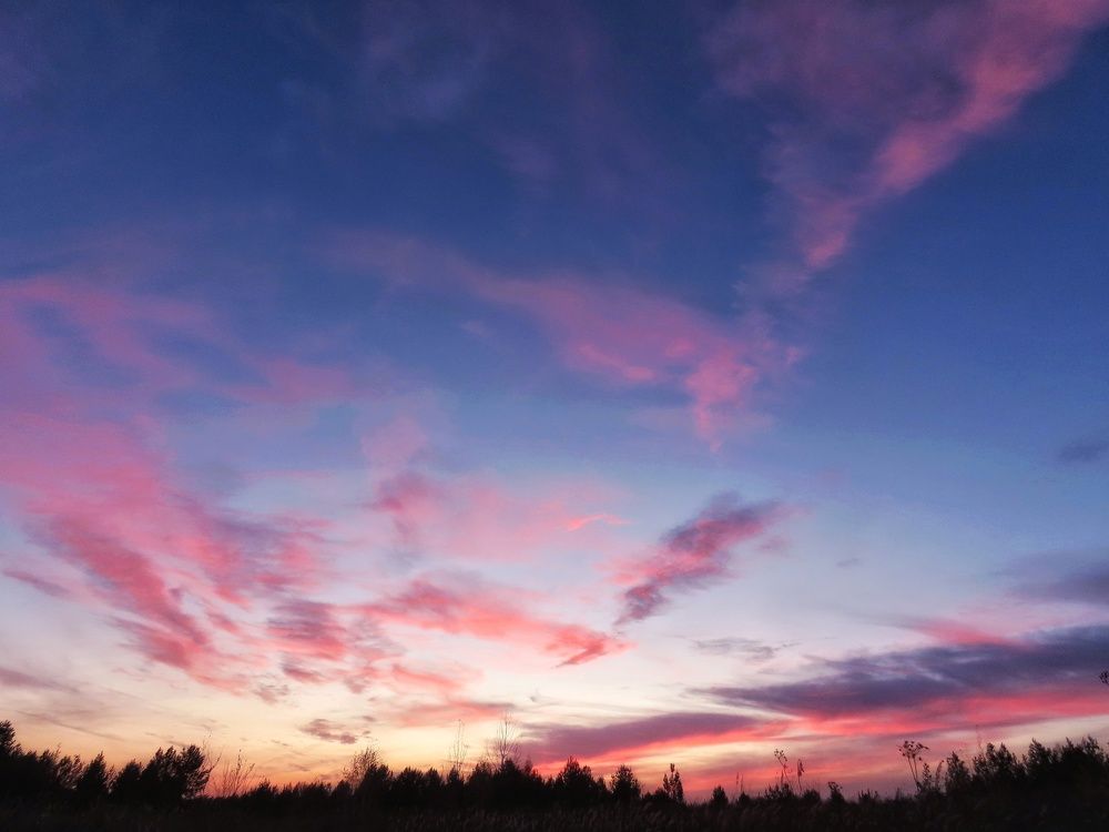 Розовые облака