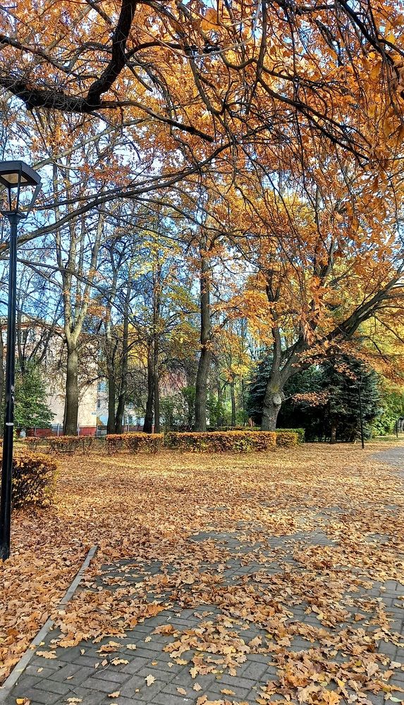 Photograph by Надежда Васильева
