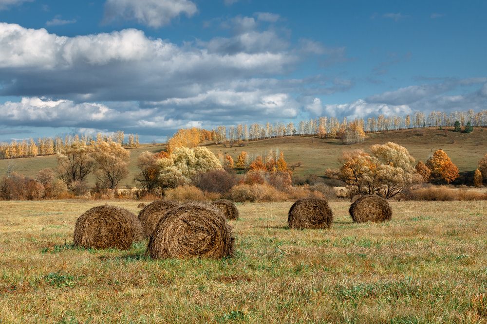 Photograph by Никитин Алексей