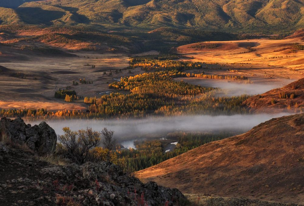 Photograph by Галина Хвостенко