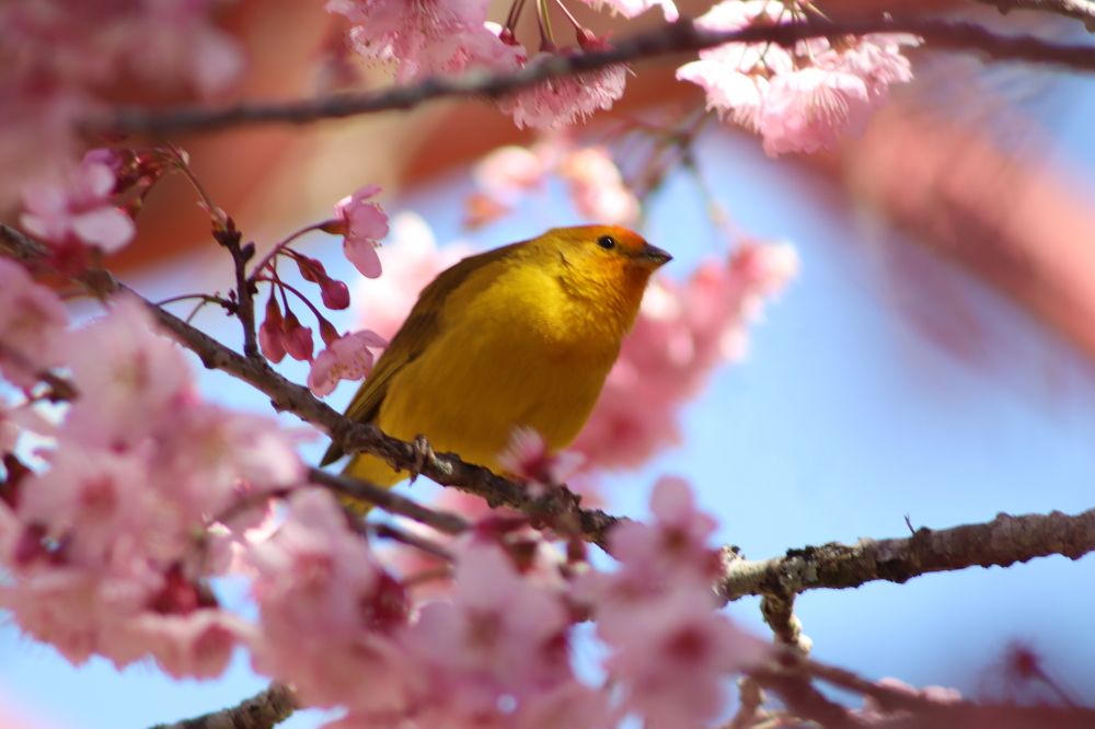 Photograph by Juliana