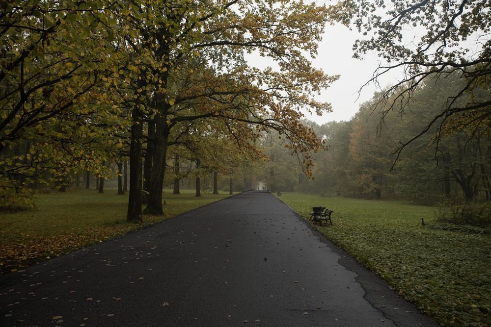 Фотография автора Sergey Smorchkov