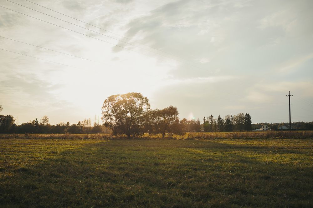 Фотография автора Надежда Воробьёва