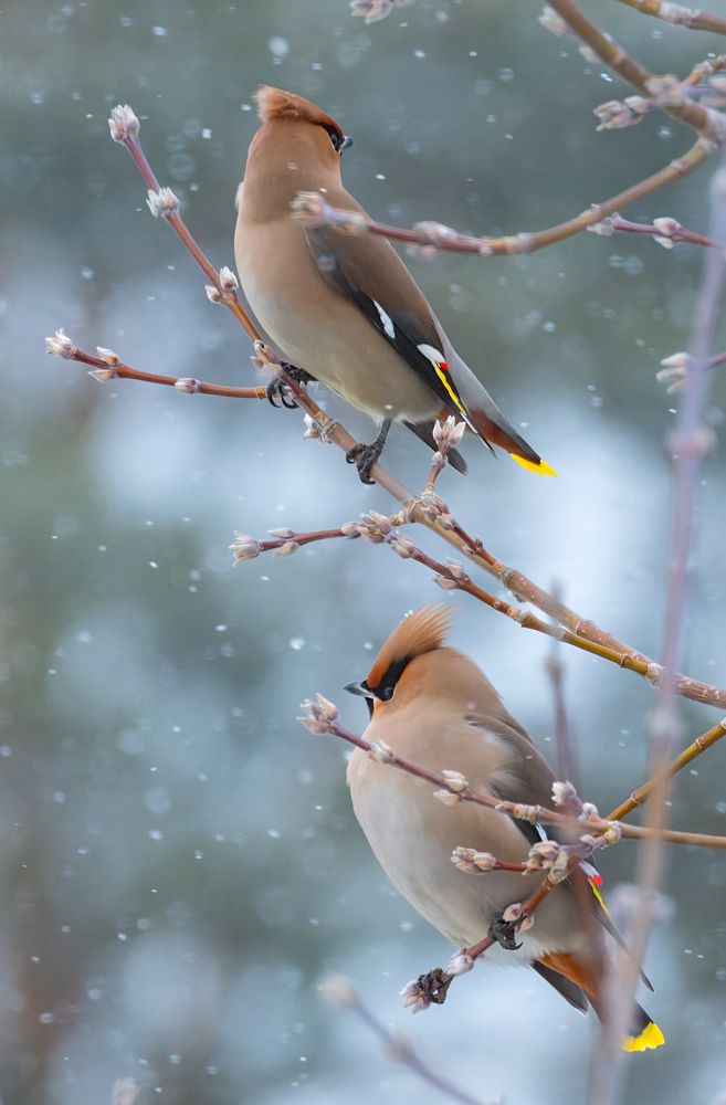 Photograph by Леонтьев Константин