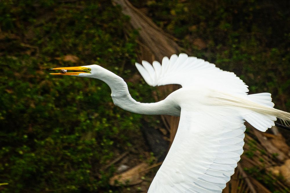 Photograph by Massimo Chiozzi