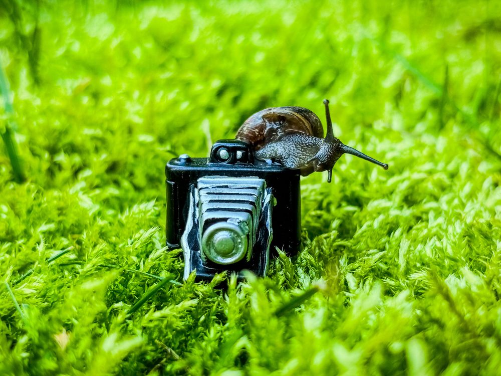 Photograph by Марина Губская