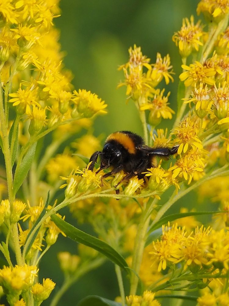 Photograph by Елена Синицына