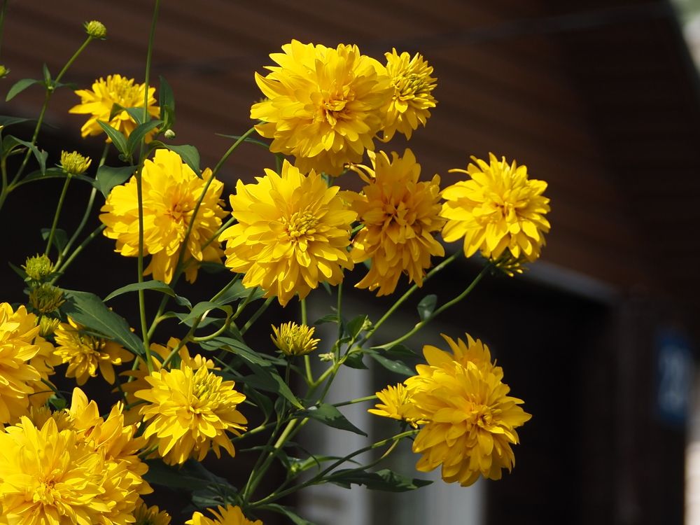 Photograph by Елена Синицына