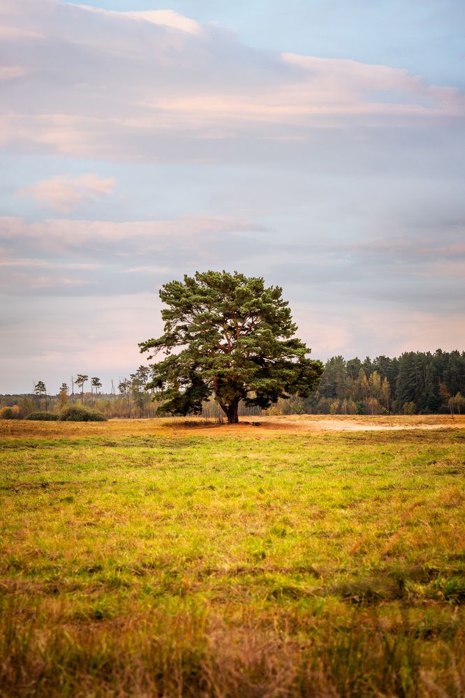 Photograph by Ивлев Артем