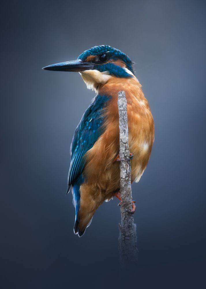 Photograph by Francisco Javier Velázquez Molina