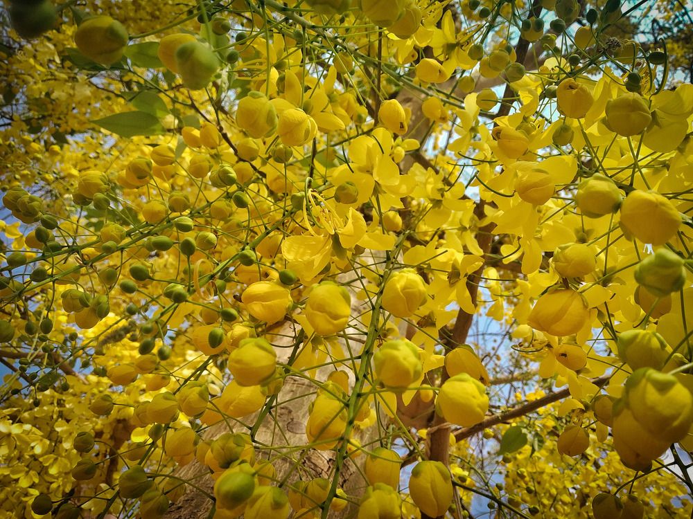 Photograph by ASWIN KUMAR S