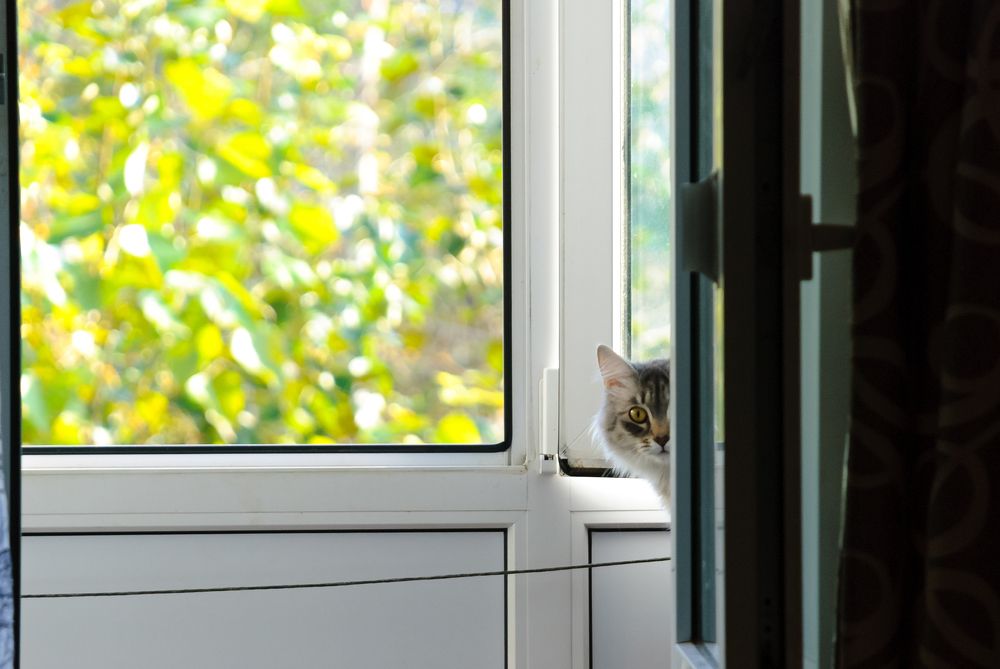 Photograph by Сергей