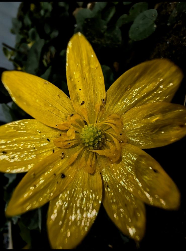 Photograph by Ирина Тихая