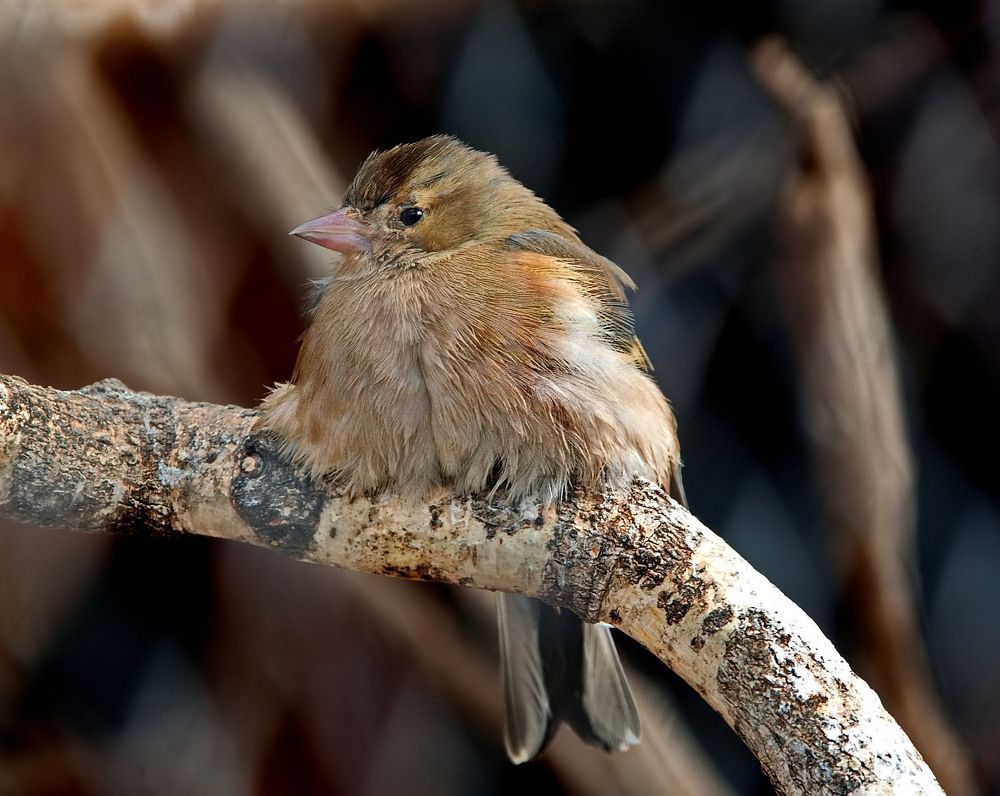 Photograph by Александр