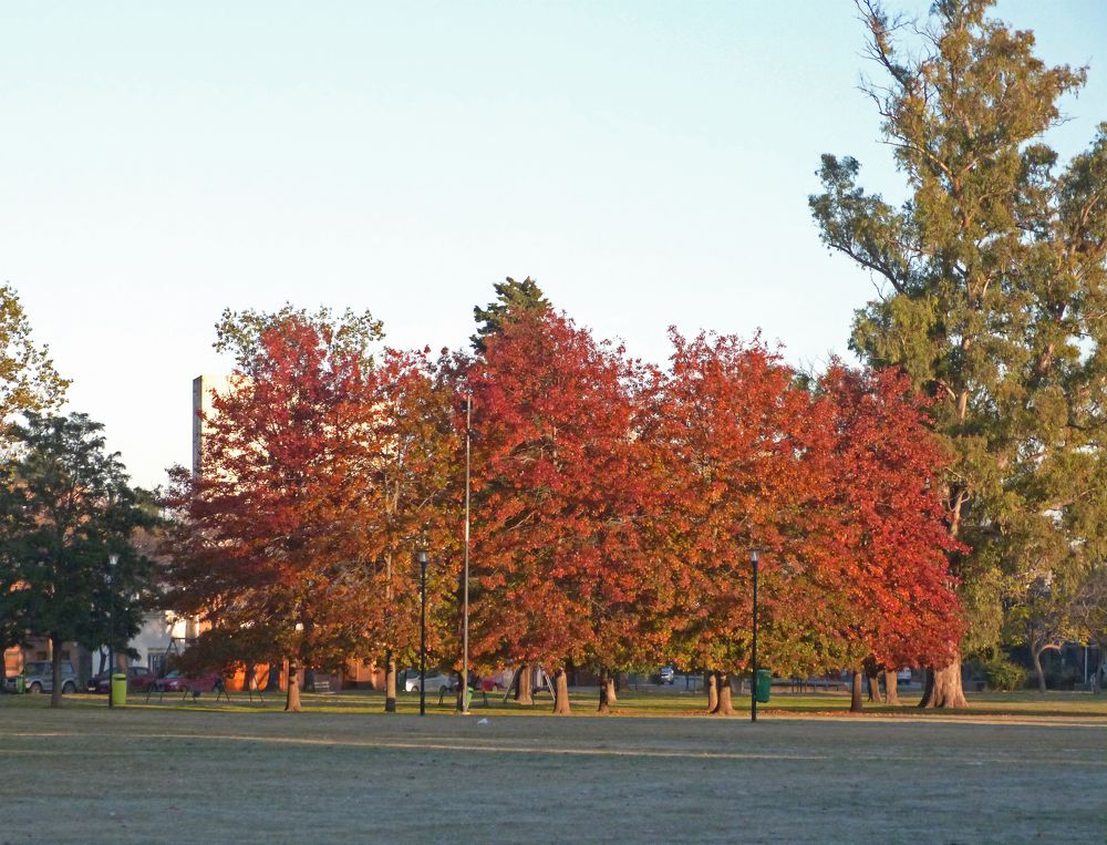 Photograph by GLEYDA GUTIÉREZ