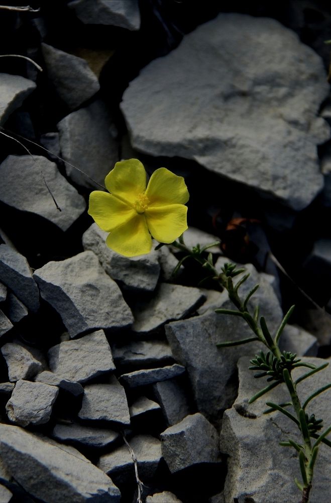 Photograph by Ирина Тихая