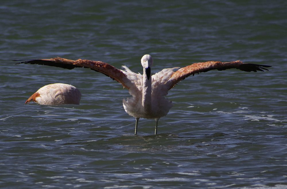 Photograph by MARCELO GIORGI