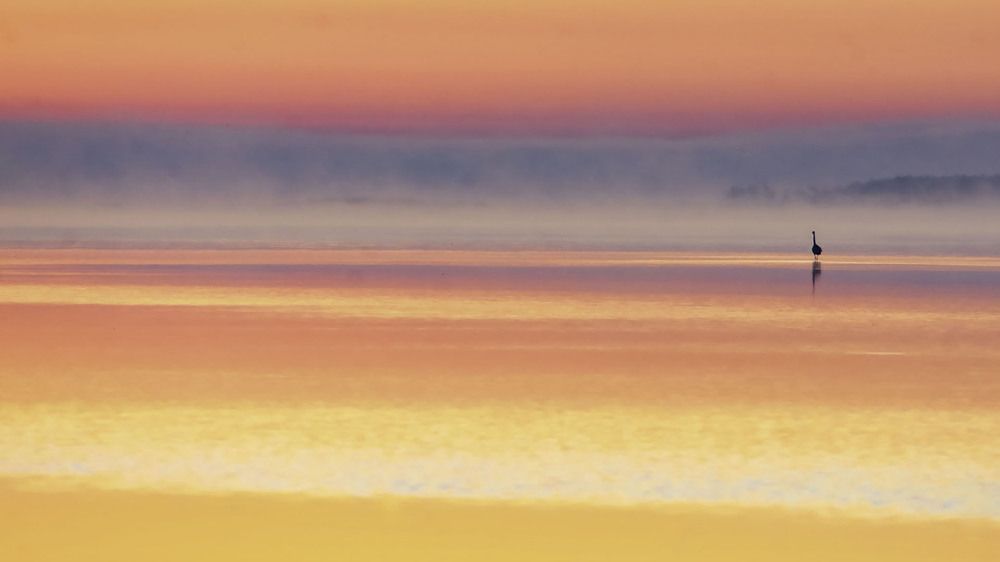 Photograph by MARCELO GIORGI