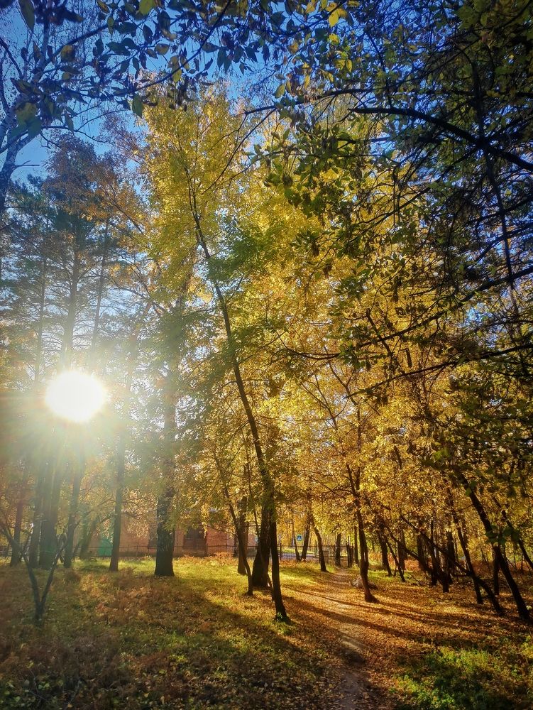 Photograph by Olena Chertous