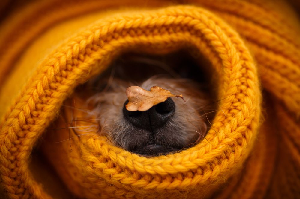 Photograph by Евгения Костусева