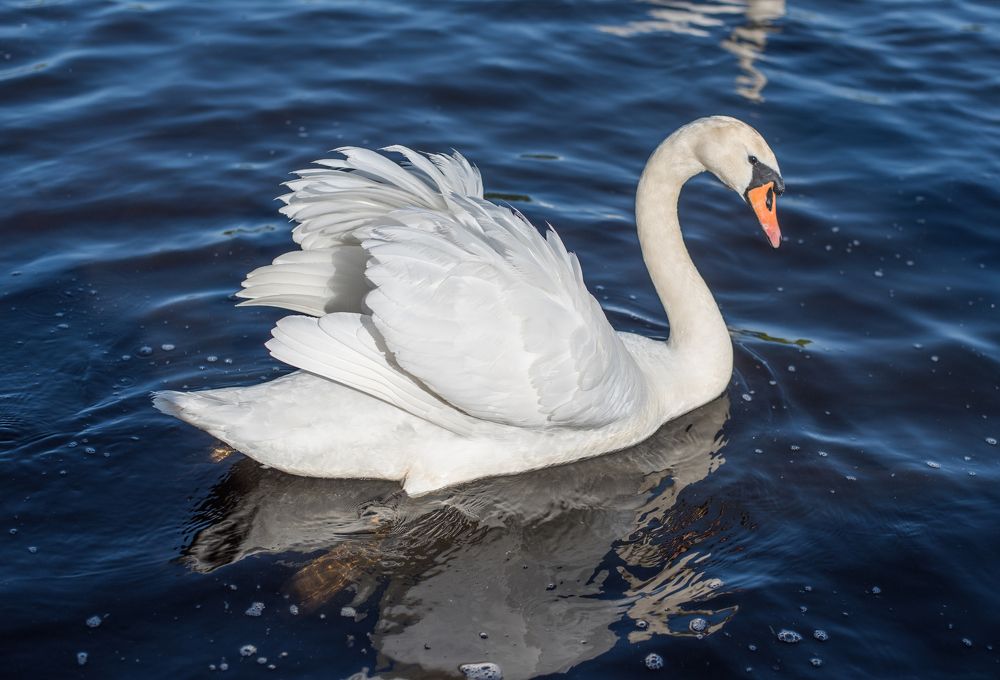 Photograph by Tarasov Alexander