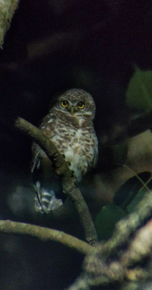 Photograph by Sourav pramanik