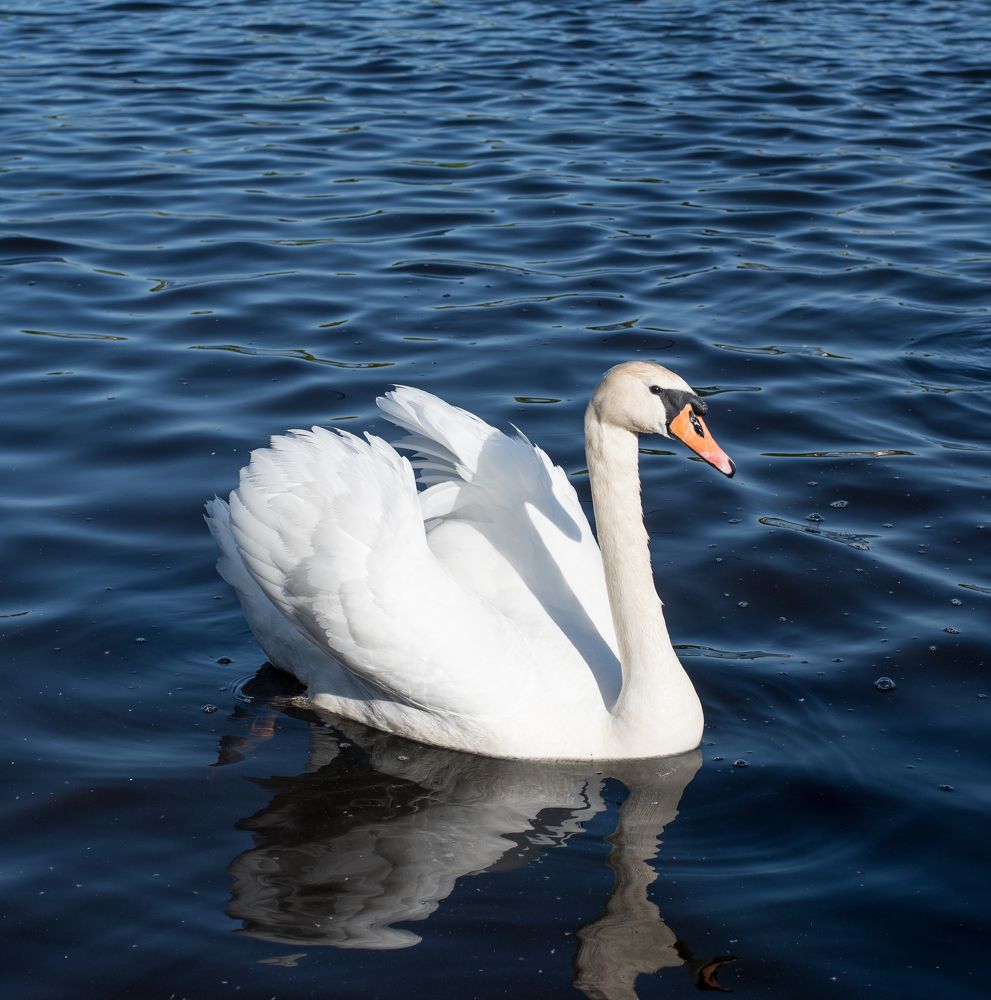 Photograph by Tarasov Alexander