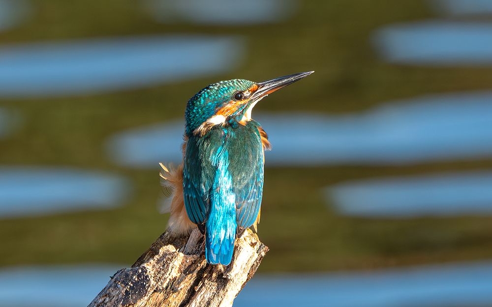 Photograph by Viktor Makarov