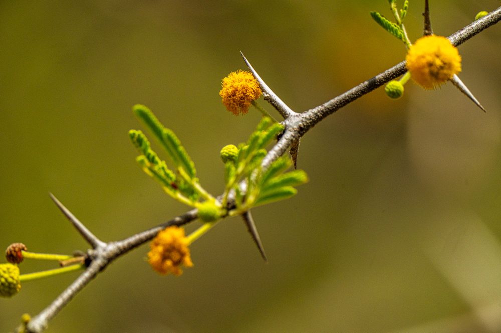 Фотография автора Julia A Caesar