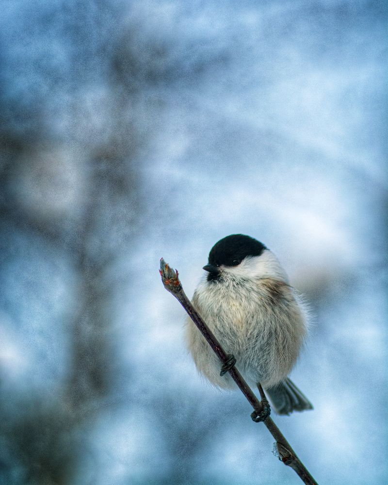 Photograph by Антон Глухов